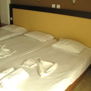 Τρίκλυνο Hotel Platon